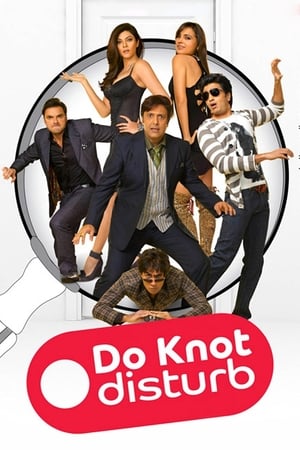 Poster Do Knot Disturb (2009)