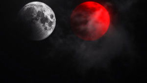 Not All Movies Are the Same: Dual (2025) Hindi Dubbed