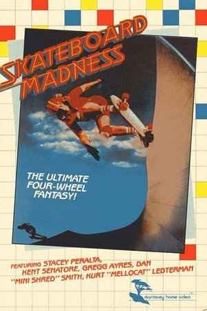 Image Skateboard Madness