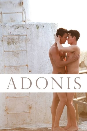 Poster Thirty Years of Adonis 2017