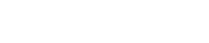 Desastre Total: Prefeito do Caos — Logos 9