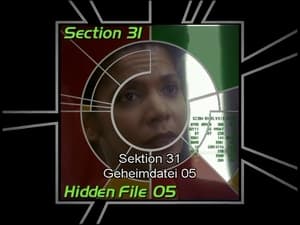 Image Section 31: Hidden File 05