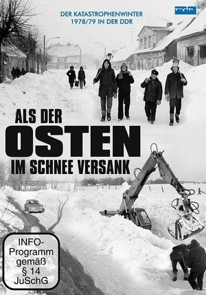 Als der Osten im Schnee versank (2014)