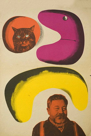 When the Cat Comes 38