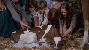 Die Waltons: 1×3