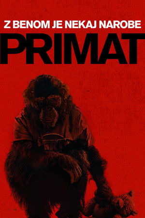 poster Primate