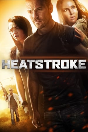 Poster Heatstroke 2013