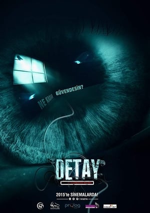 Detay poster