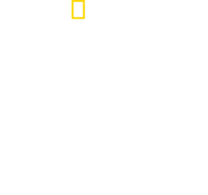 /w1qqPunk70HP2bFYTsmcLZXg6jI.png