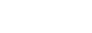 The Perfect Candidate — Logos 1