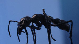 PROJECT R.E.D.: 1×4