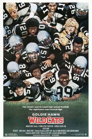 Wildcats 31