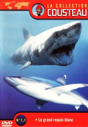 Image La Collection Cousteau N° 1-1 | Le Grand Requin Blanc
