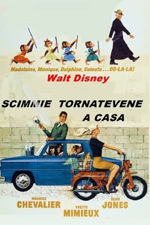 Scimmie tornatevene a casa! 1967