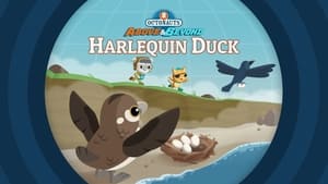 Octonauts: Above & Beyond The Octonauts and the Harlequin Duck