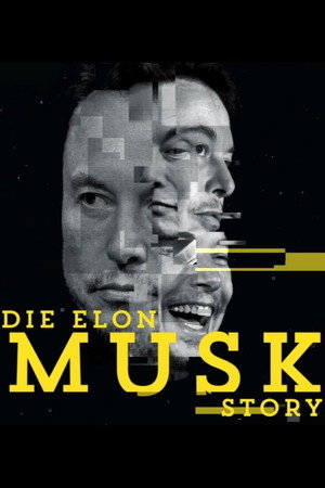 Die Elon-Musk-Story 5