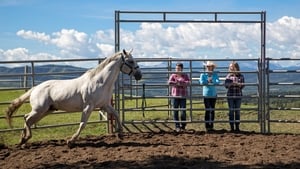 Heartland Temporada 10 Capitulo 9