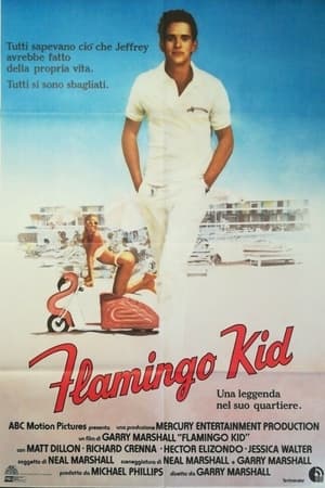Poster Flamingo Kid 1984
