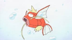 POKÉTOON Wait for Me, Magikarp!