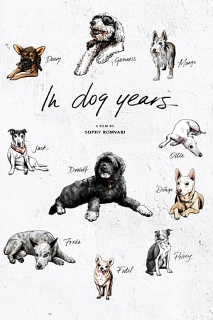 Poster In Dog Years (2019)