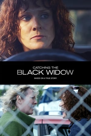 Poster Catching the Black Widow (2017)