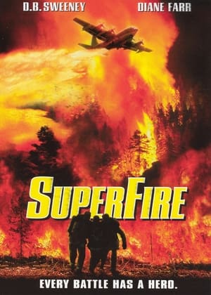 Poster Суперпожежа 2002