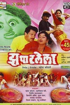 Poster झपाटलेला 1993