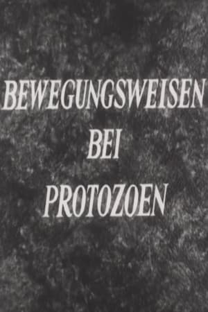 Image Bewegungsweisen bei Protozoen