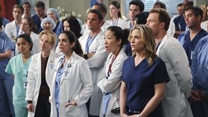 Grey’s Anatomy: Season 6 Episode 13