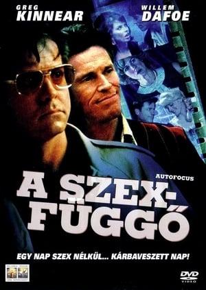 Poster A szexfüggő 2002