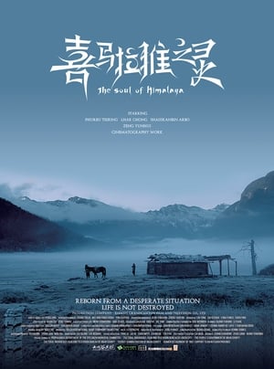 Poster The Soul of Himalaya (2017)