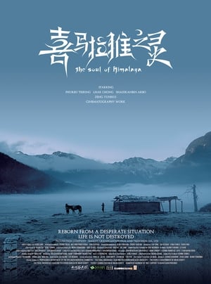 Poster The Soul of Himalaya 2017