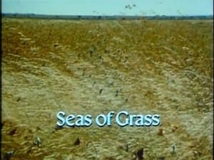 The Living Planet Seas of Grass