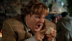 Tommy Boy 1995