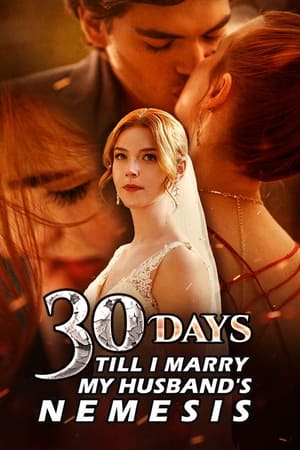 Poster 30 Days Till I Marry My Husband's Nemesis 2024
