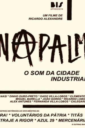 Poster Napalm: O Som da Cidade Industrial 2013