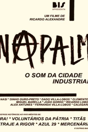 Poster Napalm - the sound of the industrial city 2013