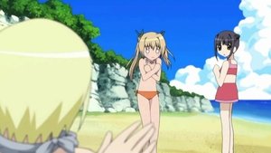 The Beach