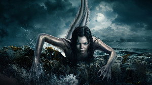Mysterious Mermaids