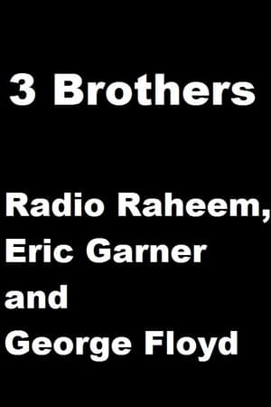 3 Brothers – Radio Raheem, Eric Garner and George Floyd stream