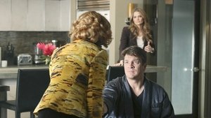 Castle: 5×19