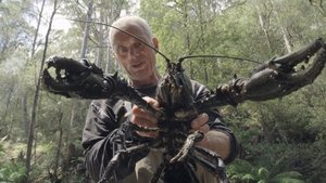 Jeremy Wade's Dark Waters Toxic Invader