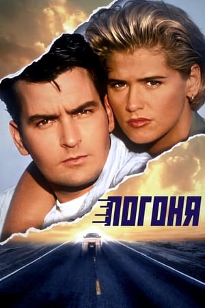 Poster Погоня 1994