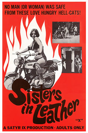 Sisters in Leather poster