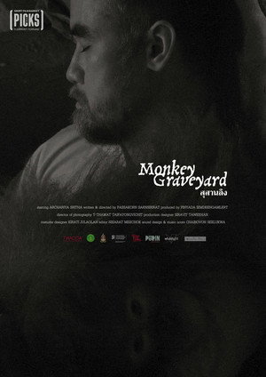 Monkey Graveyard 4