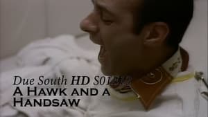 Due South A Hawk and a Handsaw