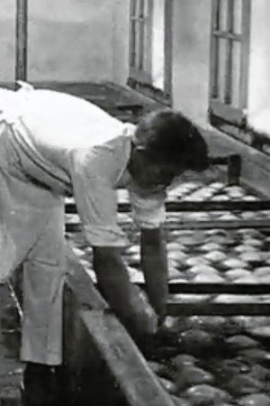 Nonton film The Preparation of Cheese (1920) terbaru sub indo Nonton film The Preparation of Cheese (1920) terbaru sub indo