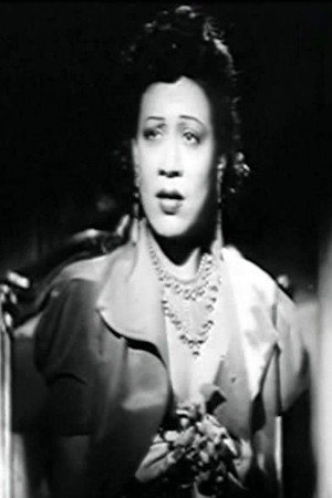 Hekmet Fahmy portrait