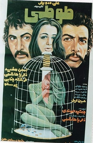 Poster Parrot (1977)