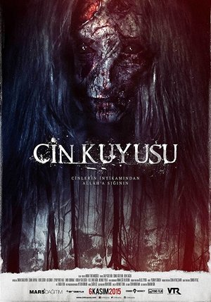 Poster Cin Kuyusu (2015)